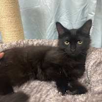 Thumbnail photo of John #1