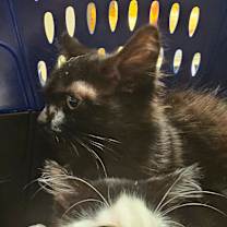 Thumbnail photo of John #3