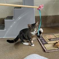 Thumbnail photo of Bubbles #1