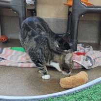 Thumbnail photo of Bubbles #2