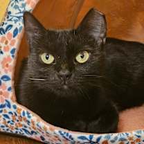 Thumbnail photo of Starla #1