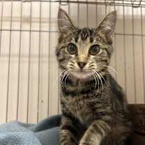 Thumbnail photo of Marci #3