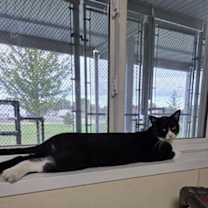 Thumbnail photo of Bo #3