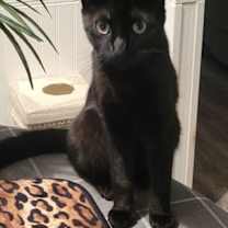 Thumbnail photo of Bella -CP #1