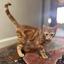 Thumbnail photo of Max #3