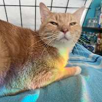 Thumbnail photo of Lucas #4