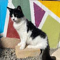 Thumbnail photo of Princess Mithian #1