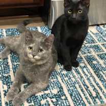 Thumbnail photo of Bob #1