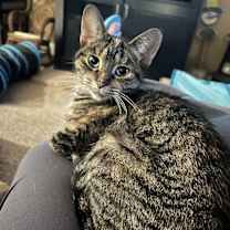 Thumbnail photo of Moe #2