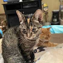 Thumbnail photo of Moe #3