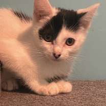 Thumbnail photo of Wyatt #3