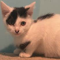 Thumbnail photo of Wyatt #4