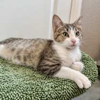 Thumbnail photo of Grendel #3