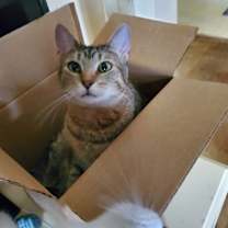 Thumbnail photo of Tilly #2