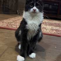 Thumbnail photo of Xavier #1