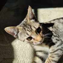 Thumbnail photo of Johnny Depp #2