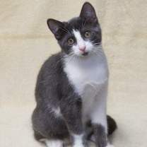 Thumbnail photo of Grayson #2