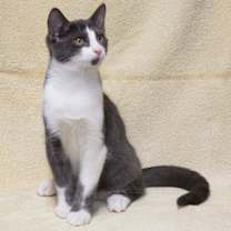 Thumbnail photo of Grayson #3