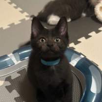 Thumbnail photo of Proposal #3