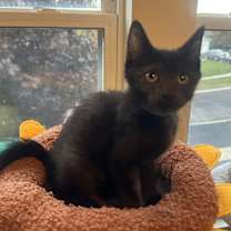 Thumbnail photo of Proposal #4