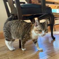 Thumbnail photo of Geri #4