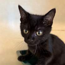 Thumbnail photo of Charles #2