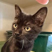 Thumbnail photo of Charles #3