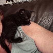 Thumbnail photo of No Name #2