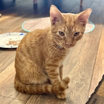 Thumbnail photo of Adam #2