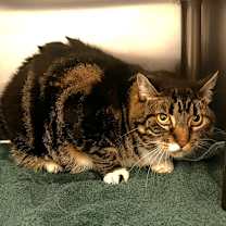 Thumbnail photo of Olivia #1