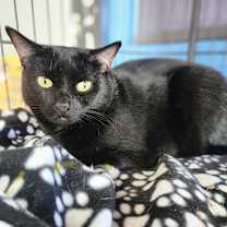 Thumbnail photo of Miss Gracie - Chino Hills Location #4