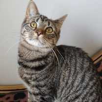 Thumbnail photo of Betty #1