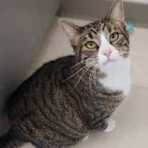 Thumbnail photo of Barbie #3