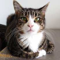 Thumbnail photo of Ricki #3