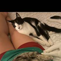 Thumbnail photo of Coal #1