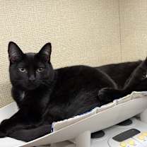 Thumbnail photo of ROXY & MERCEDES - Twice the Sister Fun! #4