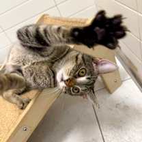 Thumbnail photo of Moonbeam #3