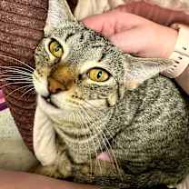 Thumbnail photo of Moonbeam #4