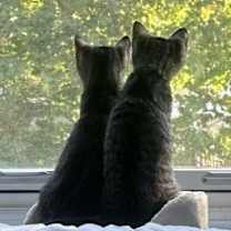 Thumbnail photo of Rizzo & Ruby #2