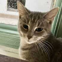 Thumbnail photo of Mako #1