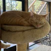 Thumbnail photo of León #1