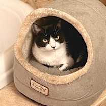 Thumbnail photo of Kiki #4