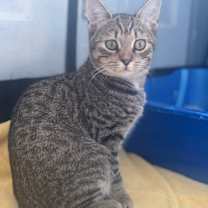 Thumbnail photo of Emilio Estevez #1