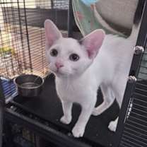 Thumbnail photo of Bryce #2