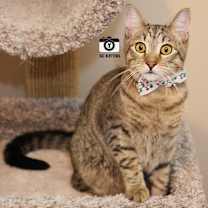 Thumbnail photo of Burt #2