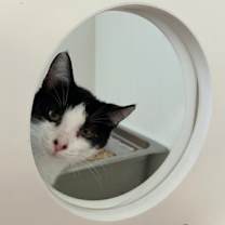 Thumbnail photo of Enid #2