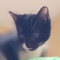 Thumbnail photo of Benita #4