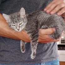 Thumbnail photo of C291 Litter Sally #1