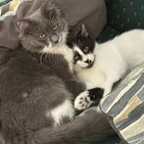 Thumbnail photo of Cam #2