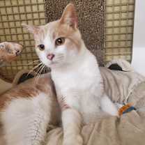 Thumbnail photo of Yeti #3